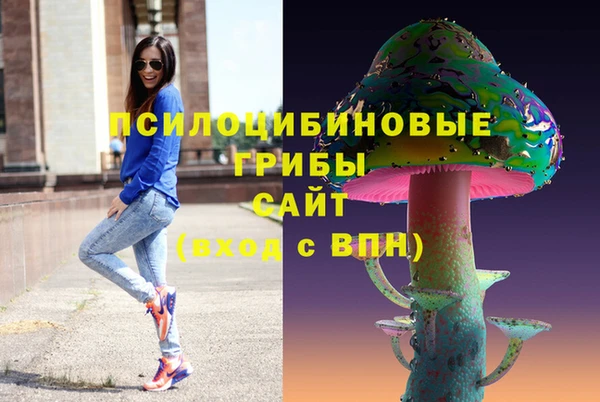 шишки Алексеевка