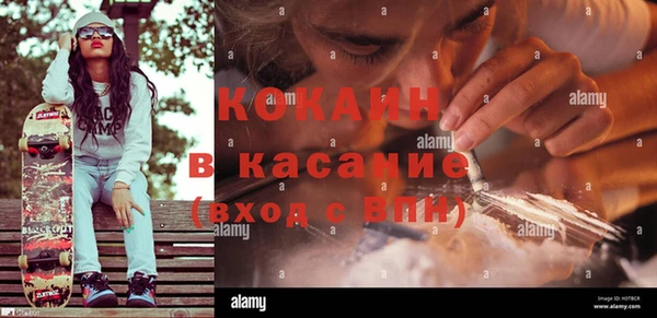 шишки Алексеевка