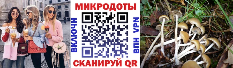 Галлюциногенные грибы прущие грибы  Хотьково 